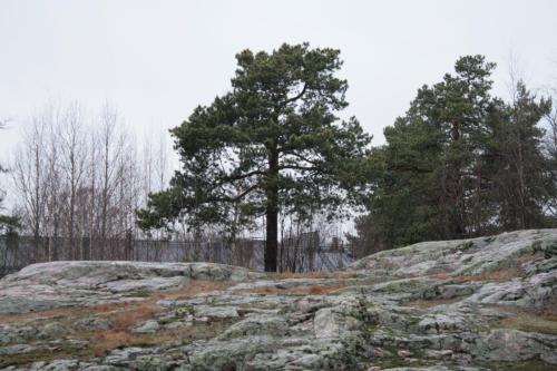 20140110 Helsinki okolice szkoły Dominiki fot. Marytka Czarnocka 012
