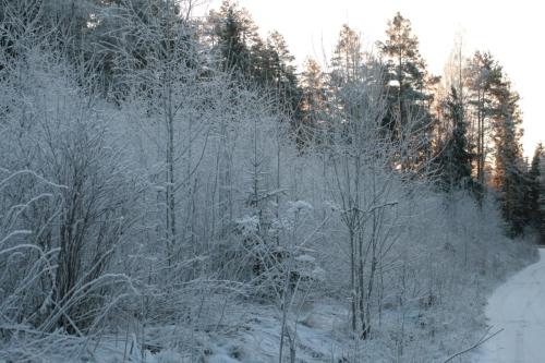 20140118-Klaukala Vihti-fot.-Marytka-Czarnocka-037
