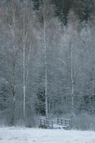 20140118-Klaukala Vihti-fot.-Marytka-Czarnocka-095