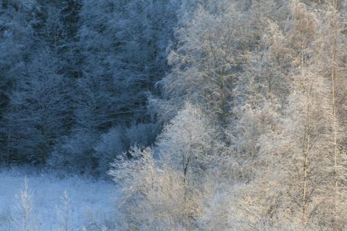20140118-Klaukala Vihti-fot.-Marytka-Czarnocka-141
